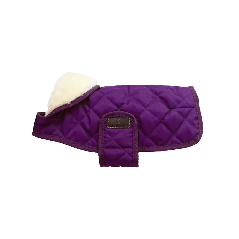 Kentucky Dog Coat- Purple